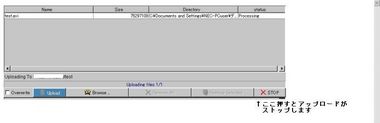omnidrive15.jpg